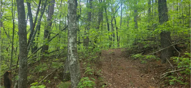 $109,800 | 0 Towee Mountain Drive, Reliance, TN 37369