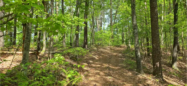 $109,800 | 0 Towee Mountain Drive, Reliance, TN 37369