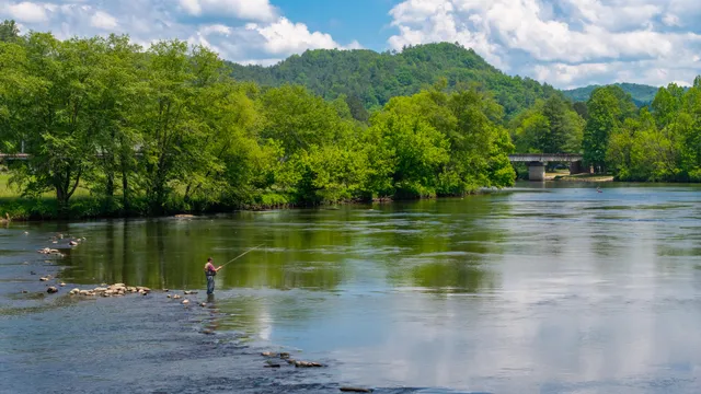 $109,800 | 0 Towee Mountain Drive, Reliance, TN 37369