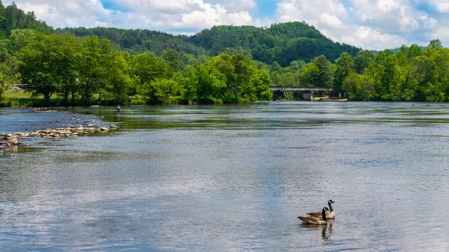 $109,800 | 0 Towee Mountain Drive, Reliance, TN 37369