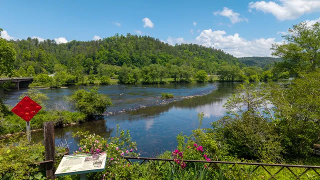 $109,800 | 0 Towee Mountain Drive, Reliance, TN 37369