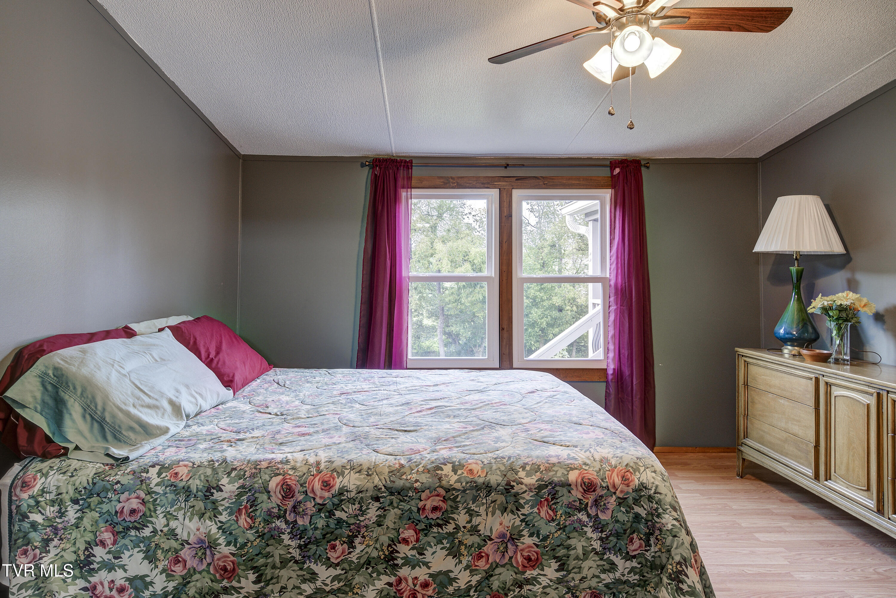 520 Hales Chapel Road Gray, TN 37615 - Photo 28 of 55 HalesChapel-15