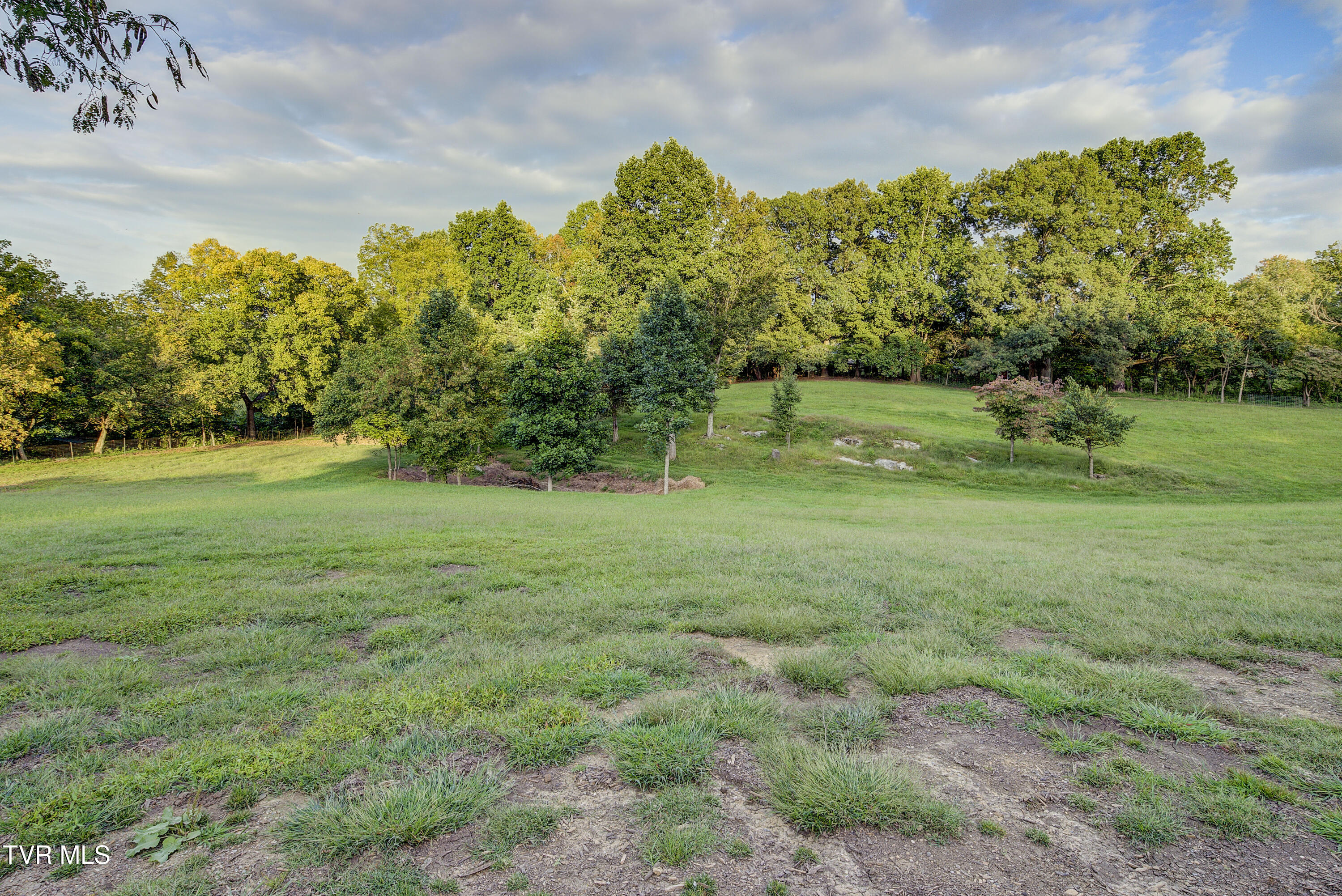 520 Hales Chapel Road Gray, TN 37615 - Photo 45 of 55 HalesChapel-36