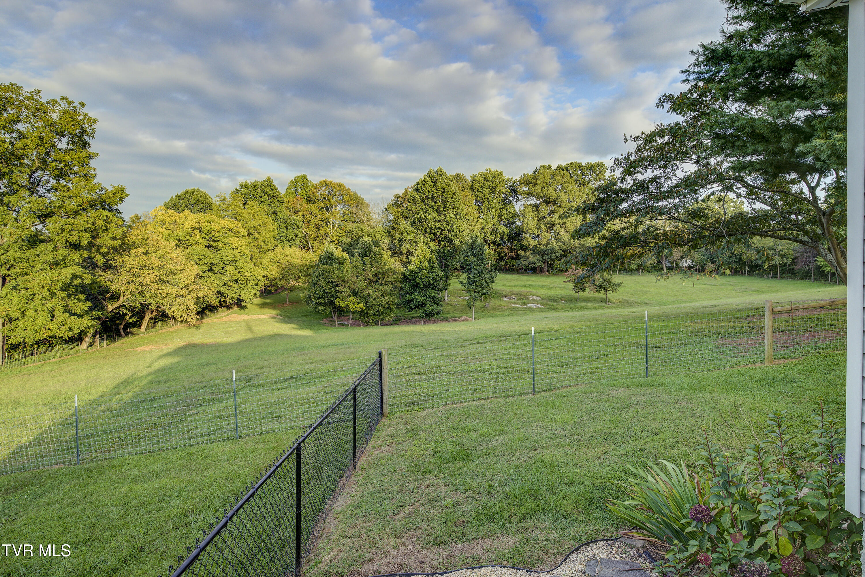 520 Hales Chapel Road Gray, TN 37615 - Photo 10 of 55 HalesChapel-31