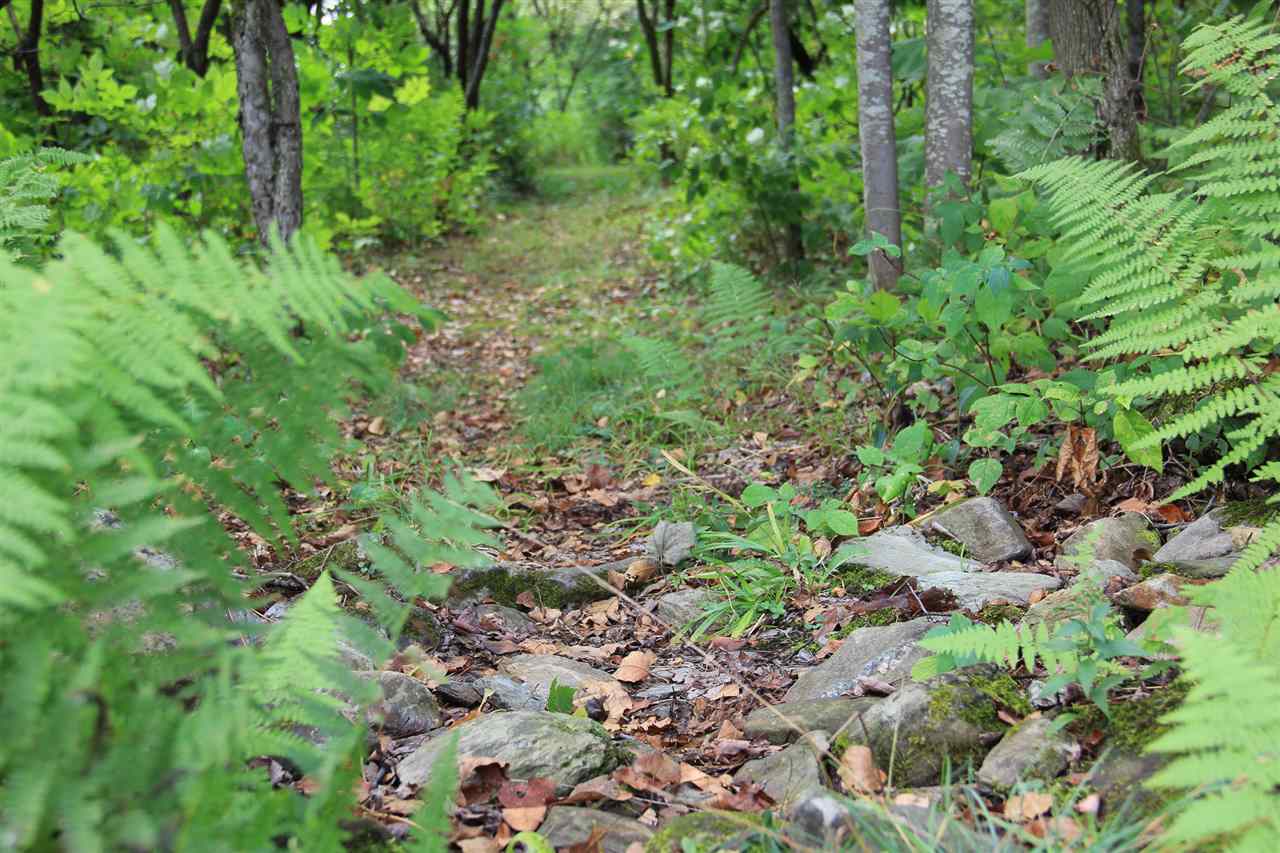 0 Old Stage Road Westford, VT 05494 - Photo 8 of 16 Gallery Image 8
