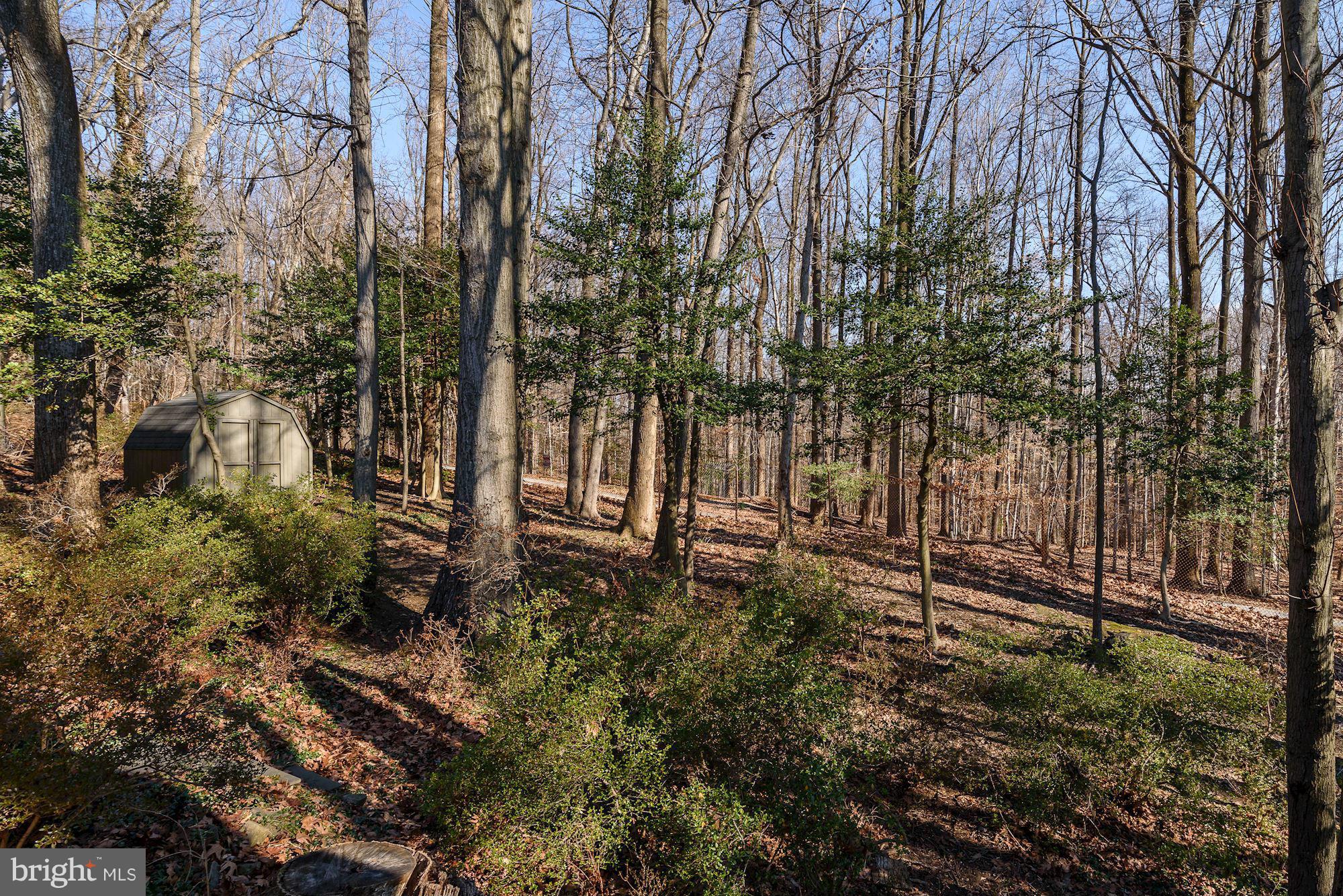 10619 Kinloch Road Silver Spring, MD 20903 - Photo 29 of 30 Rear View - backing to trees