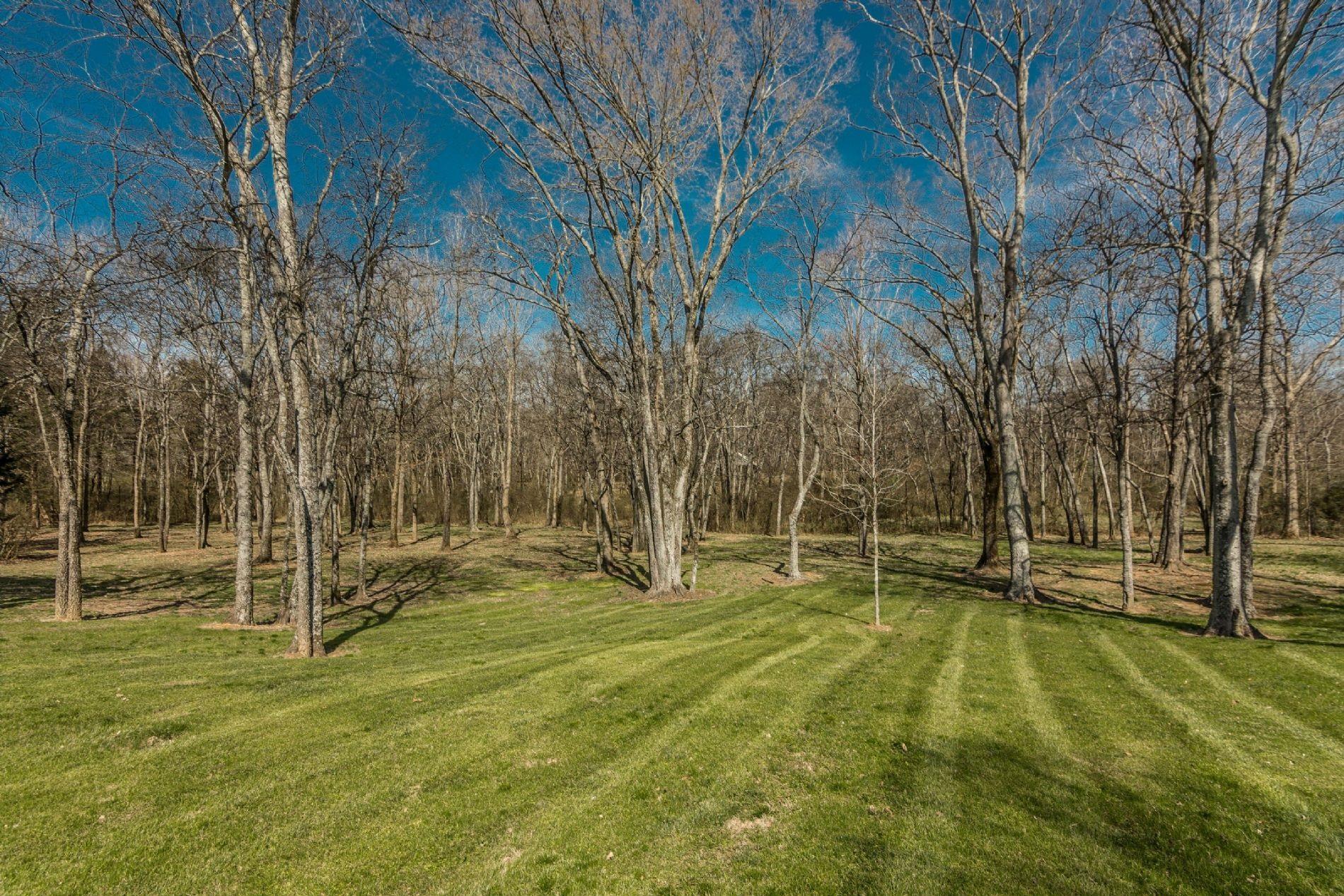 243 Village Green Road Gallatin, TN 37066 - Photo 17 of 24 a swimming pool with trees in the background