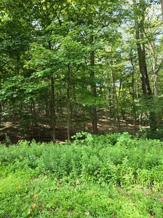 a view of a garden