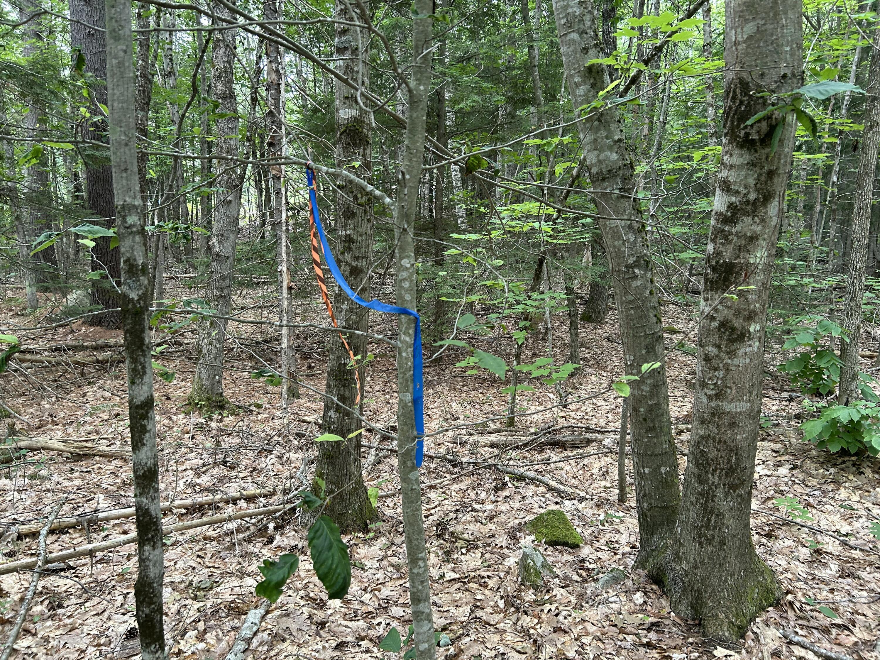 M7-l99h Bolton Hill Road Augusta, ME 04330 - Photo 5 of 30 17 septic test site