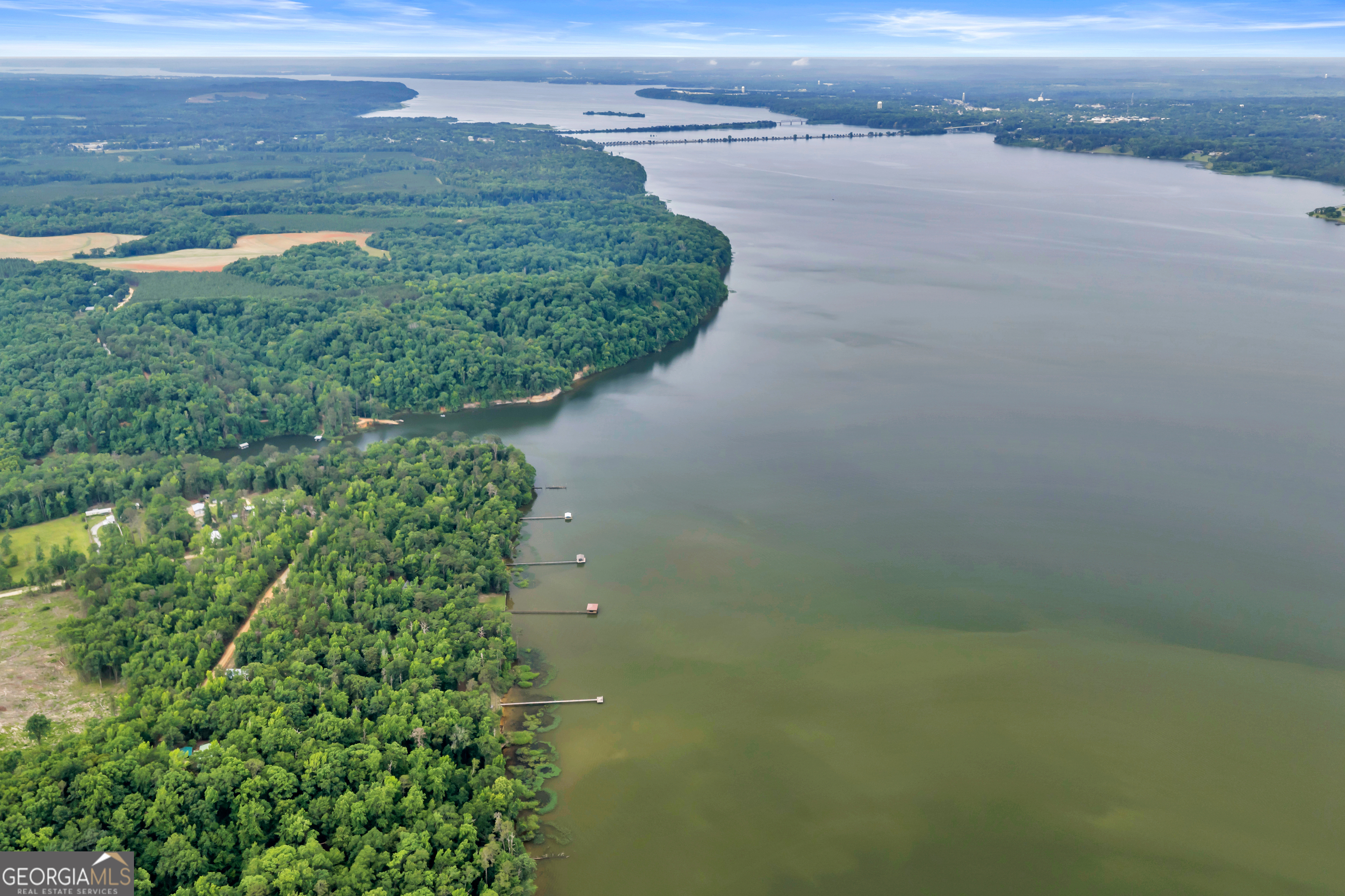 473 Vining Branch Road Georgetown, GA 39854 - Photo 20 of 43 a view of a lake from a yard