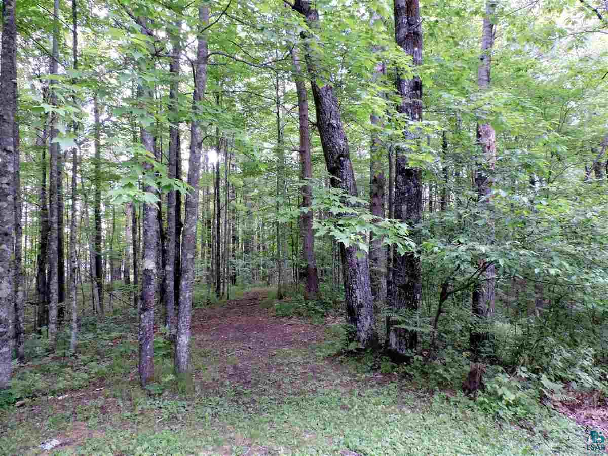 15130 McAully Road Cable, WI 54821 - Photo 12 of 14 Gallery Image 12