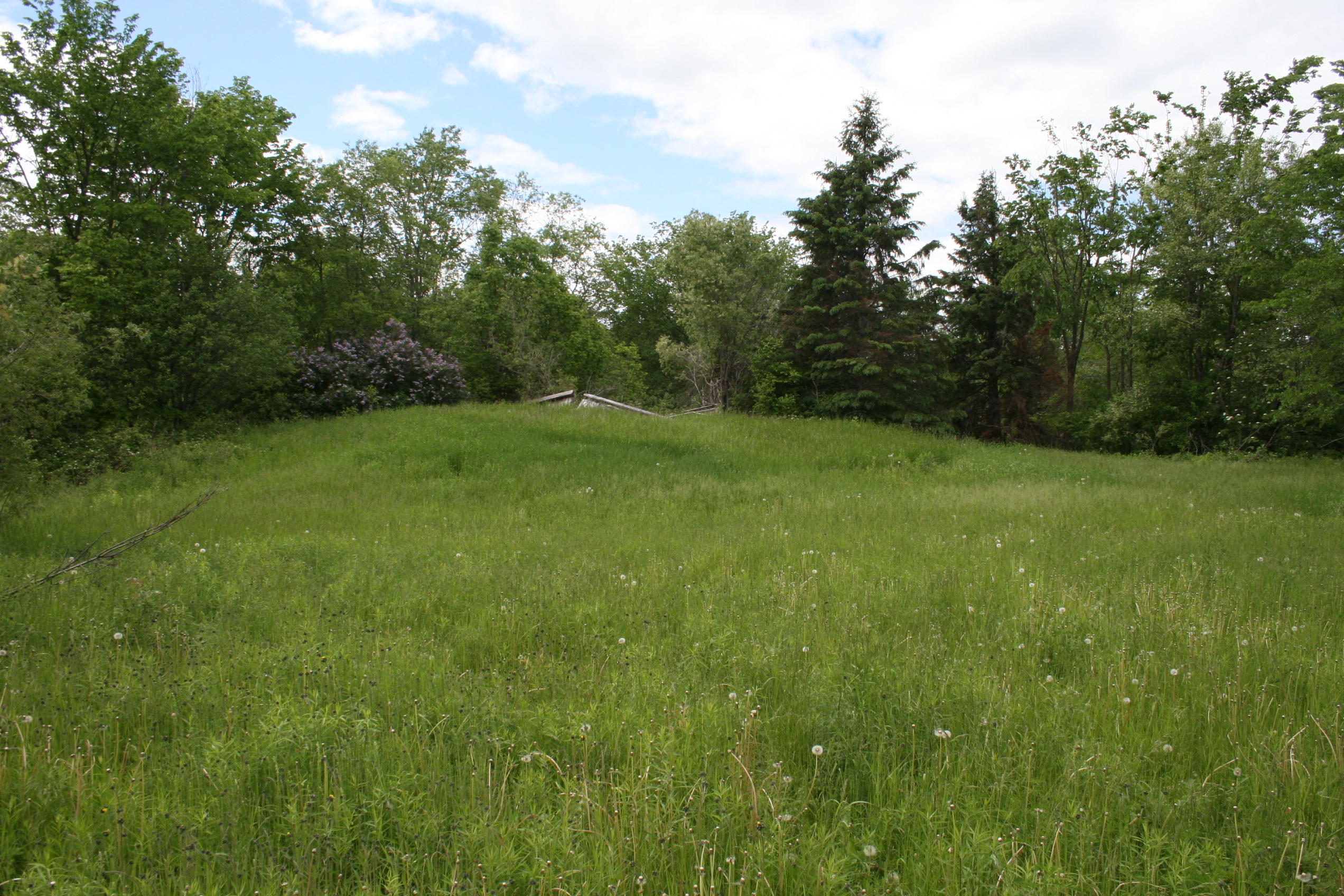 0 Roix Road New Limerick, ME 04761 - Photo 18 of 22 IMG_3612