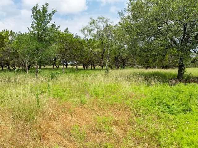 a view of an ocean from a yard