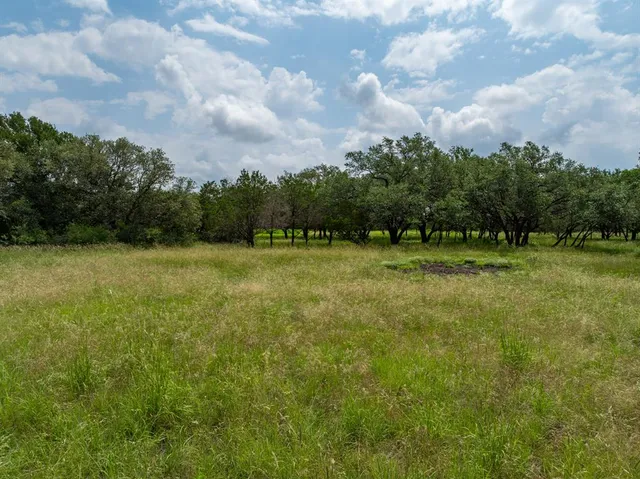 a view of an ocean from a yard