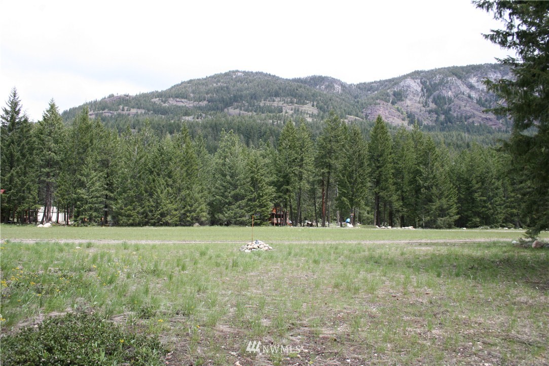52 Lost River Road Mazama, WA 98833 - Photo 1 of 8 Gallery Image 1