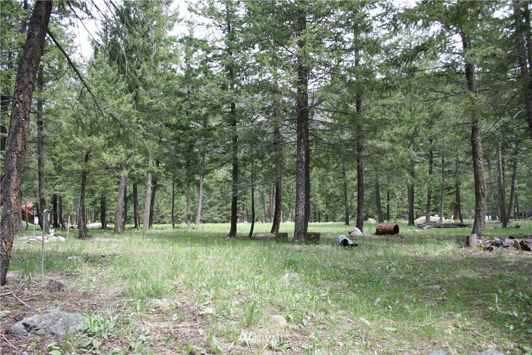 52 Lost River Road Mazama, WA 98833 - Photo 3 of 8 Gallery Image 3