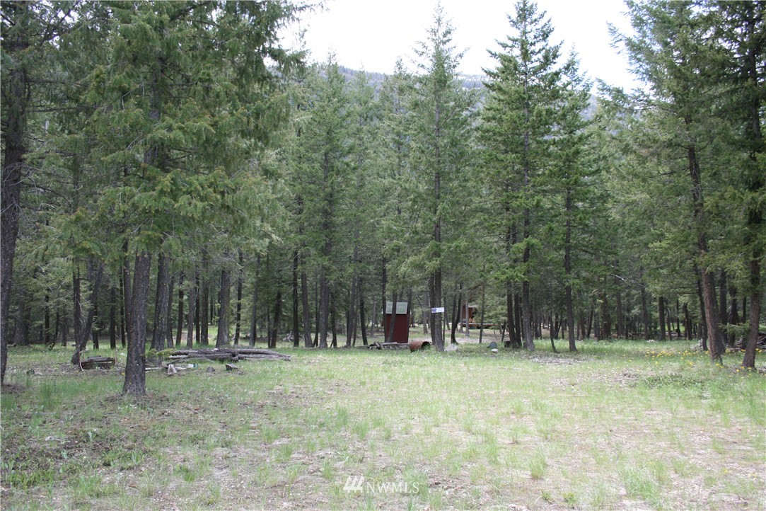 52 Lost River Road Mazama, WA 98833 - Photo 4 of 8 Gallery Image 4