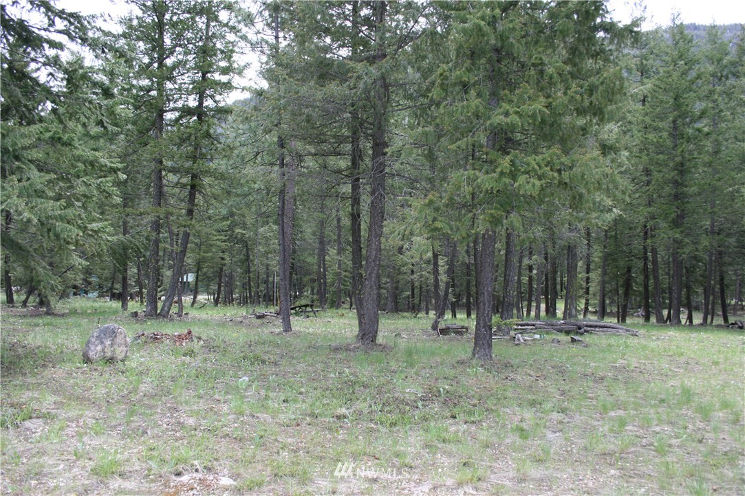 52 Lost River Road Mazama, WA 98833 - Photo 5 of 8 Gallery Image 5