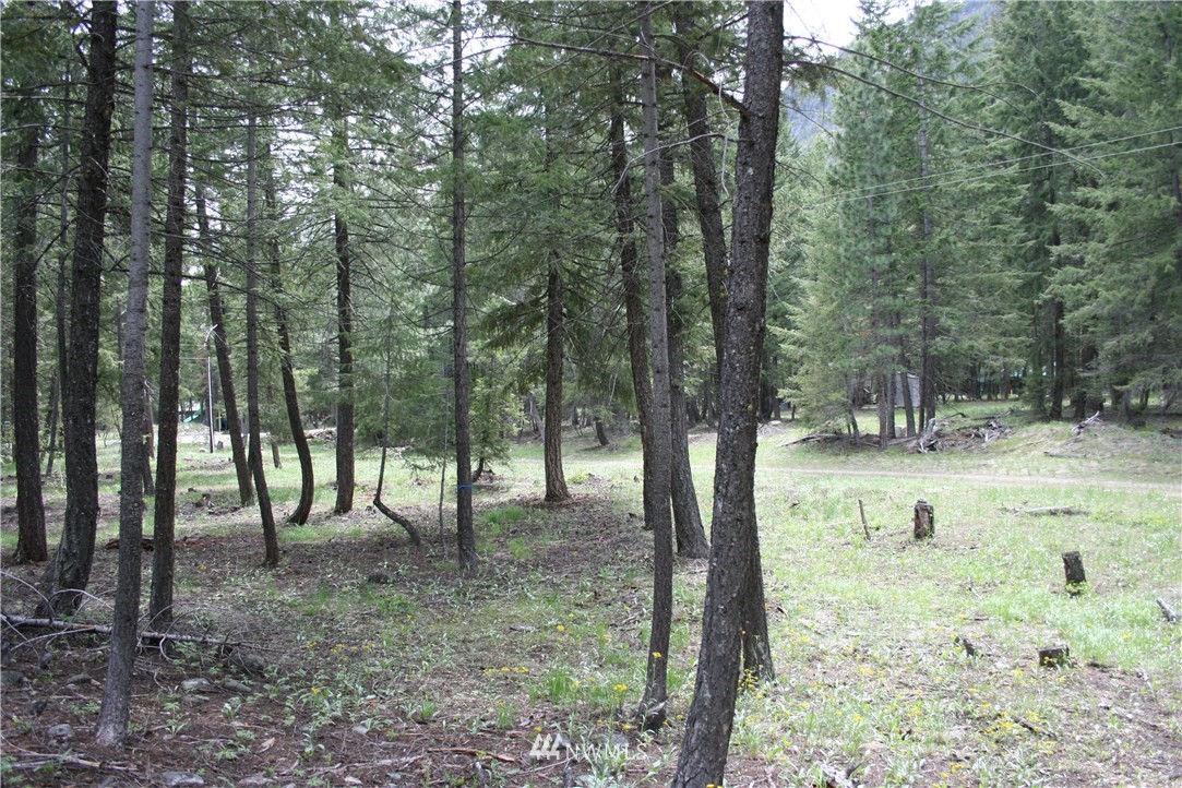 52 Lost River Road Mazama, WA 98833 - Photo 6 of 8 Gallery Image 6