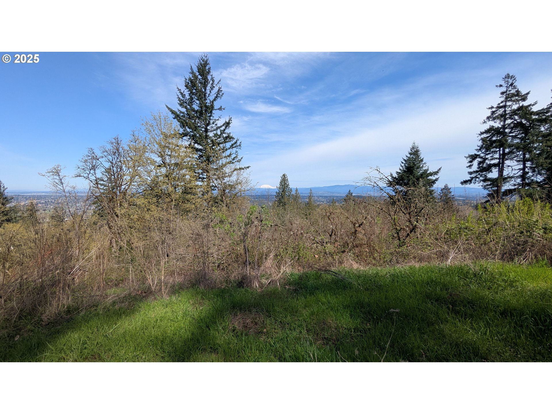 10469 Southeast Quail Ridge Drive Happy Valley, OR 97086 - Photo 2 of 10