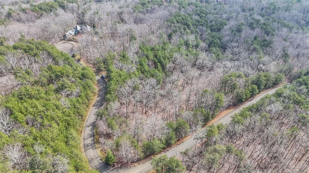 0 Terrace Way Jasper, GA 30143 - Photo 11 of 12 a view of a forest with a tree