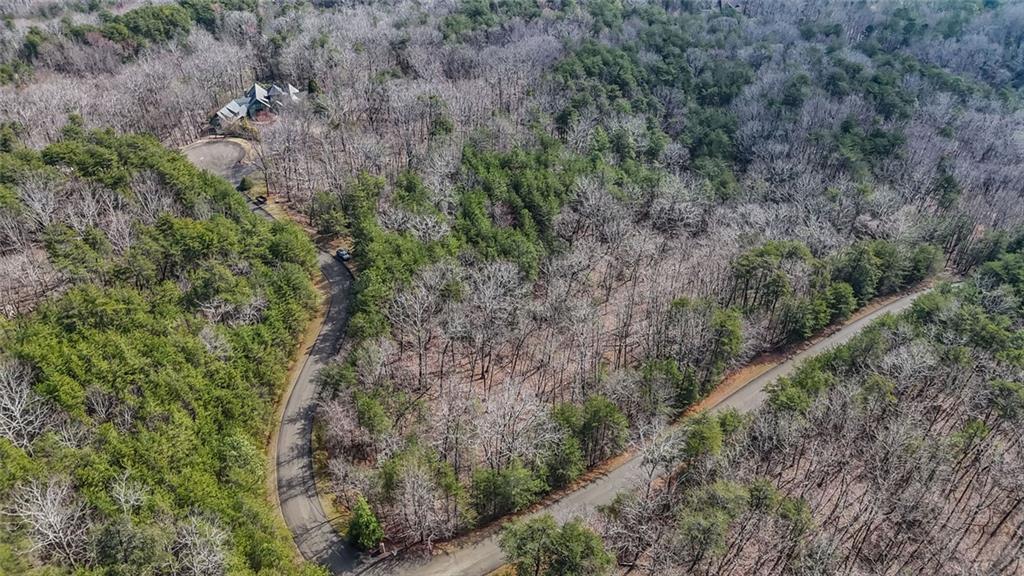0 Terrace Way Jasper, GA 30143 - Photo 12 of 12 a view of a forest with trees all around