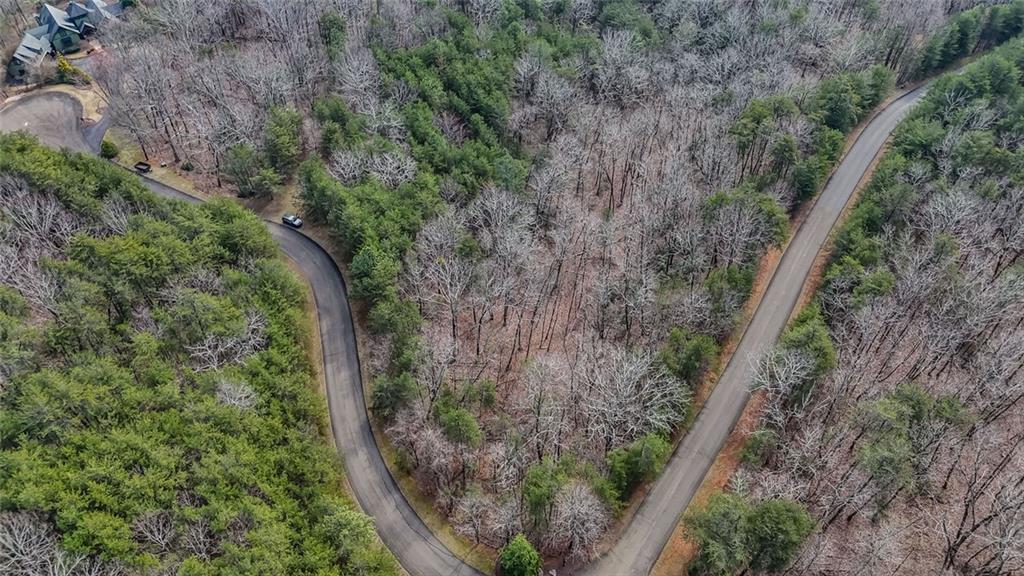 0 Terrace Way Jasper, GA 30143 - Photo 6 of 12 a view of a forest with a small yard