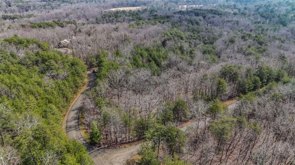 0 Terrace Way Jasper, GA 30143 - Photo 7 of 12 a view of a forest with trees all around