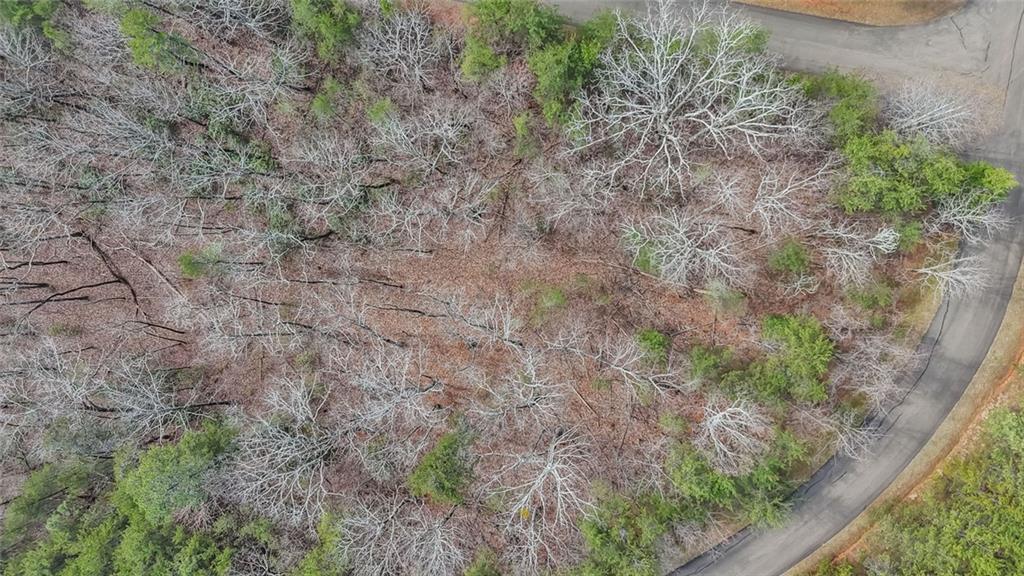 0 Terrace Way Jasper, GA 30143 - Photo 8 of 12