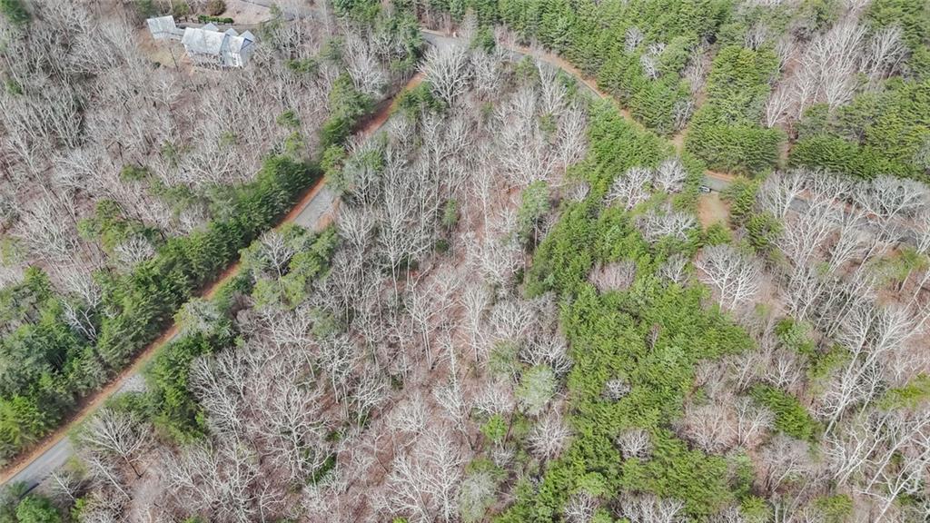 0 Terrace Way Jasper, GA 30143 - Photo 10 of 12 a view of a forest with trees
