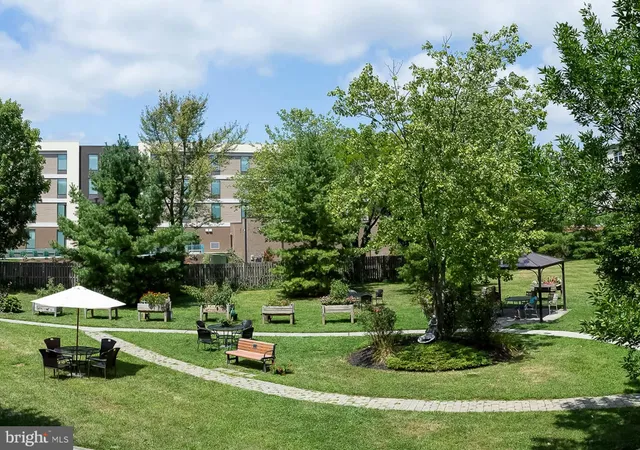 a garden with trees in the background