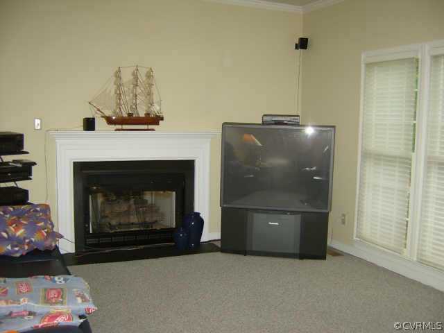 11630 Stephens Point Drive Chester, VA 23831 - Photo 5 of 10 a living room with furniture and a fireplace