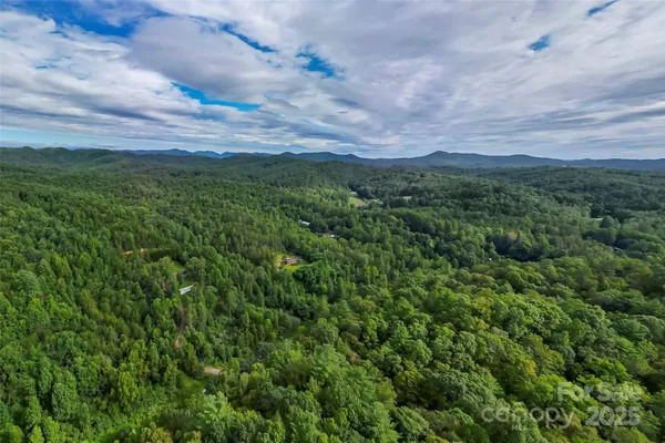 a view of a green field with lots of bushes