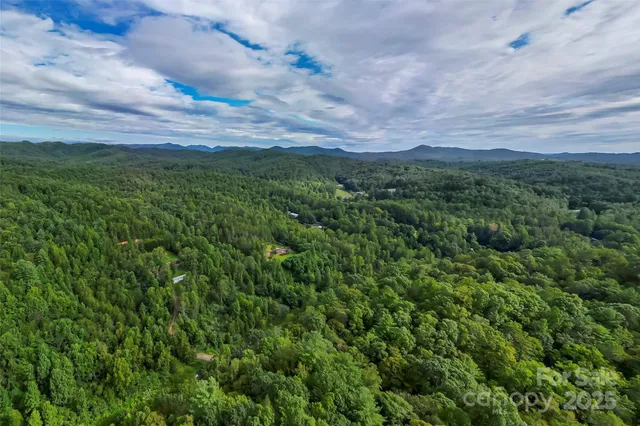 a view of a green field with lots of bushes
