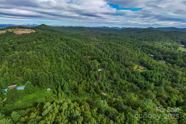 a view of a green field with lots of bushes