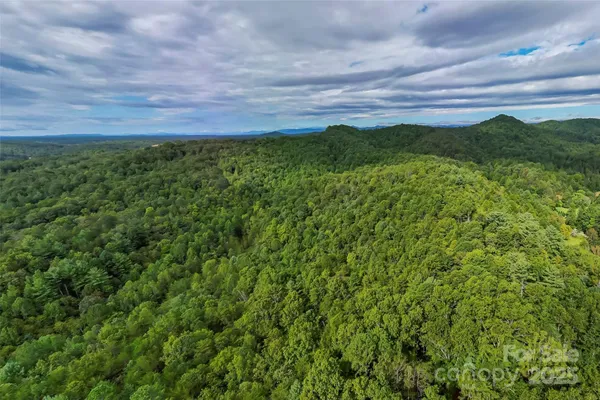 a view of a green field