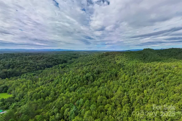 a view of yard with grass and a stairs