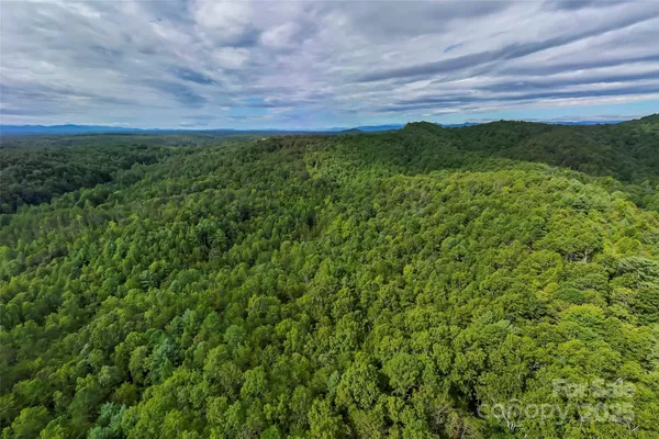 a view of a lush green outdoor space with a lake view