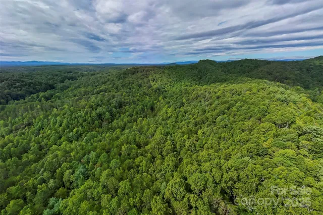 a view of a lush green outdoor space with a lake view