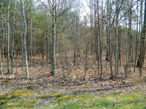 0 Stewart Lane, Unit 26 Rising Fawn, GA 30738 - Photo 1 of 1 vickie picture