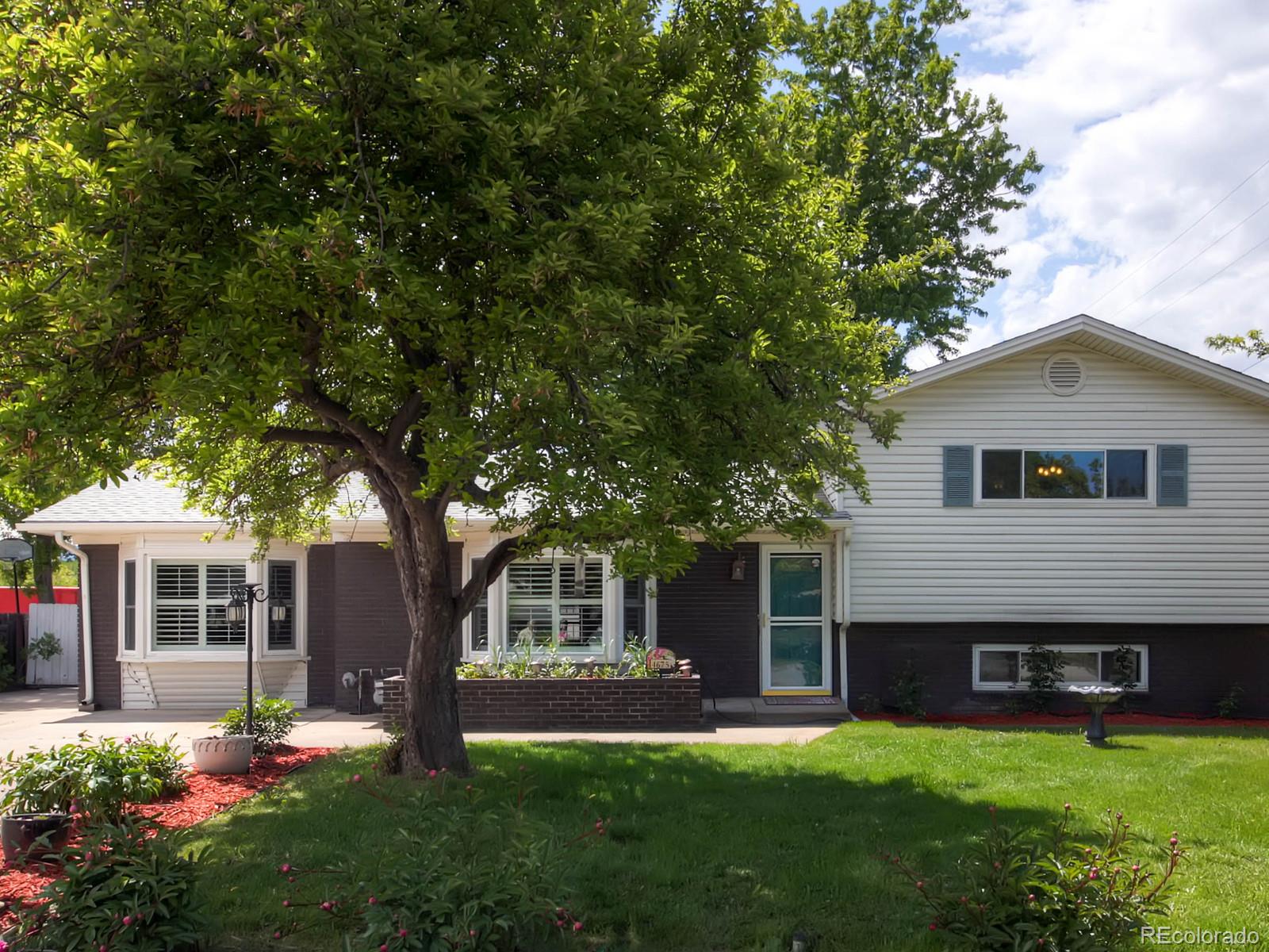 4675 Swadley Street Wheat Ridge, CO 80033 - Photo 1 of 1 Gallery Image 1