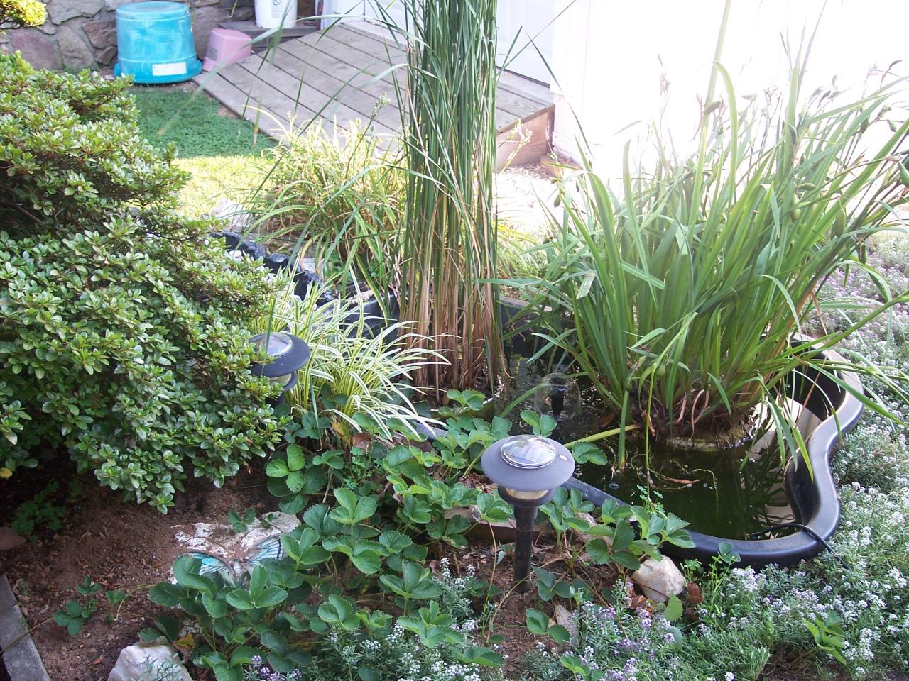 3037 Northside Road Roanoke, VA 24019 - Photo 16 of 24 Fish Pond beautifully landscaped