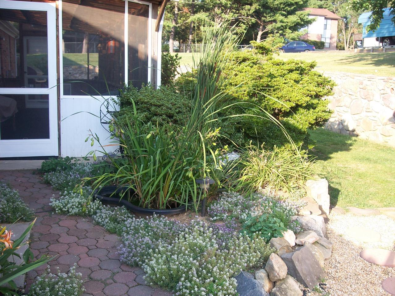 3037 Northside Road Roanoke, VA 24019 - Photo 17 of 24 Gorgeous landscaping