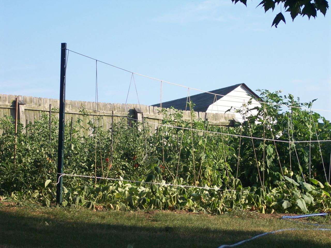3037 Northside Road Roanoke, VA 24019 - Photo 19 of 24 Beautiful garden space