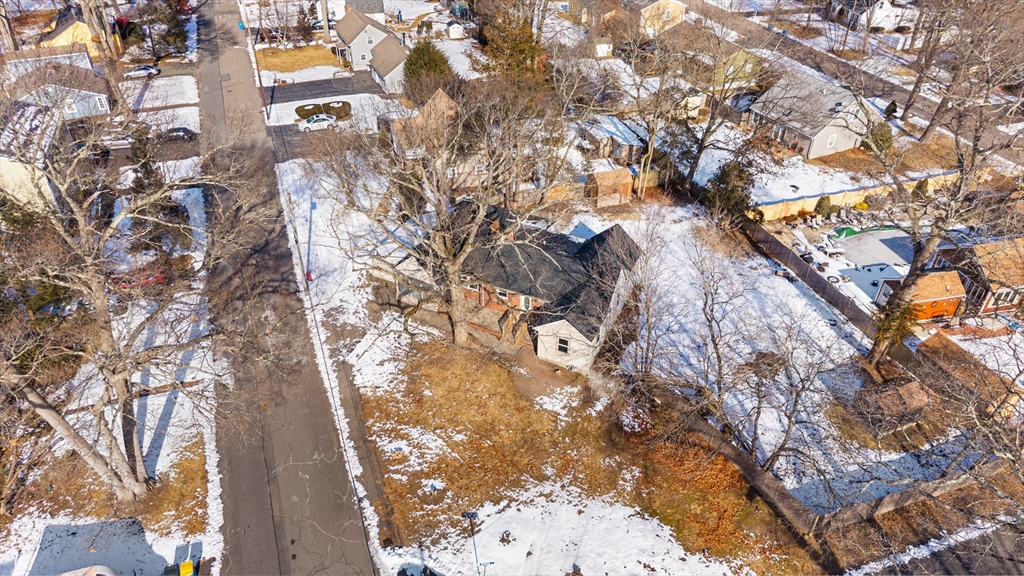 51 Himoor Circle Randolph, MA 02368 - Photo 27 of 29 a picture of tree