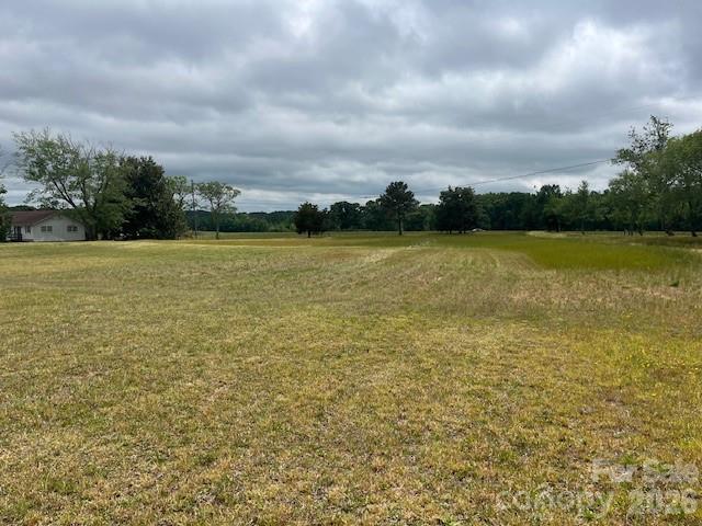 304 Floyd Blackwell Road Tryon, NC 28782 - Photo 2 of 13