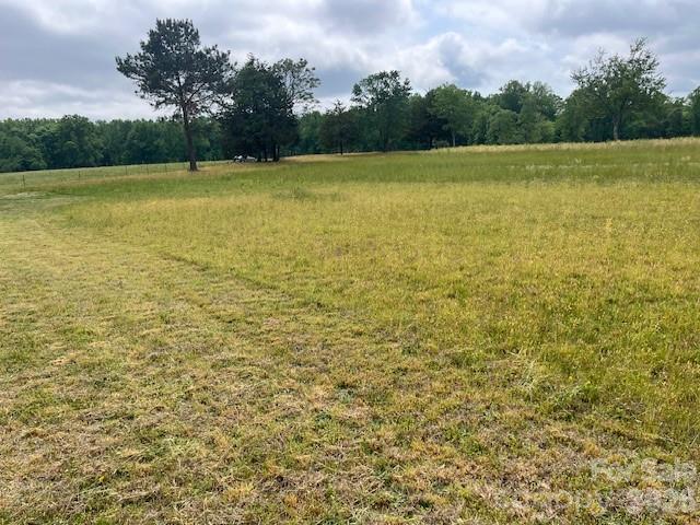 304 Floyd Blackwell Road Tryon, NC 28782 - Photo 6 of 13