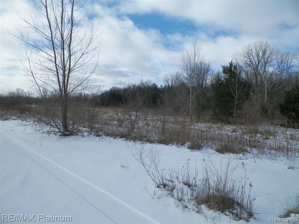 V/l West Willard Road Birch Run, MI 48415 - Photo 9 of 19 100_1482.JPG