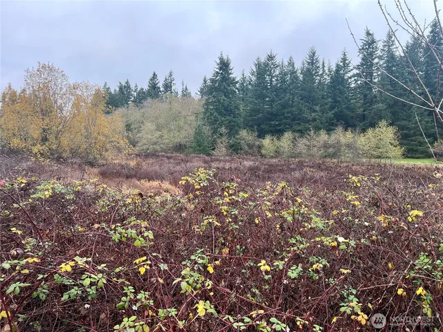 a view of a field with trees in the background