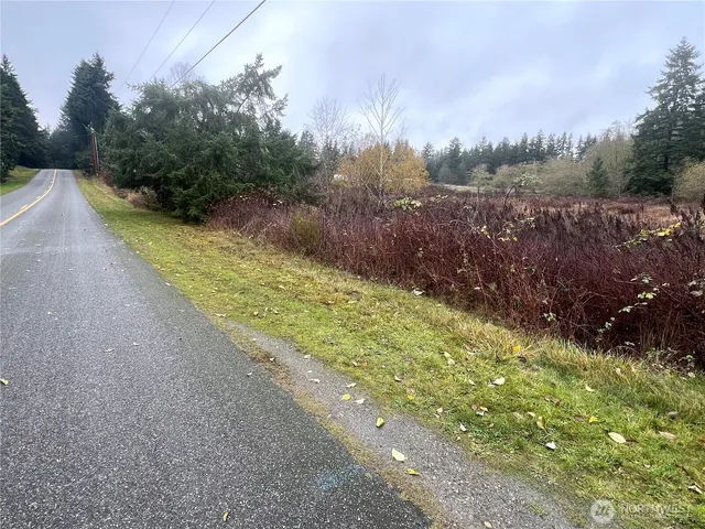a view of a yard with mountain